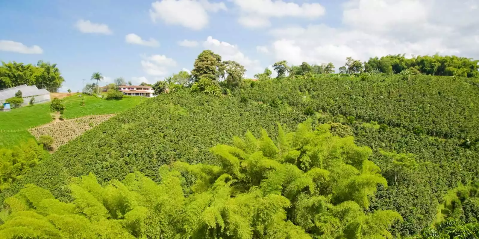  Armenia, Colombia Holidays