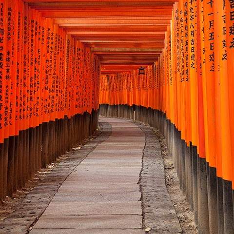 Christmas in Kyoto